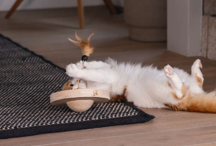 Designed by Lotte Katzenspielzeug Winni